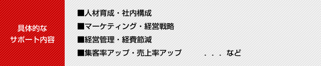 具体的なサポート内容